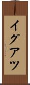 イグアツ Scroll