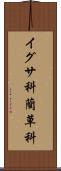 イグサ科 Scroll