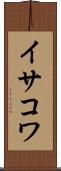イサコワ Scroll