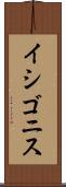 イシゴニス Scroll