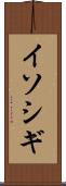 イソシギ Scroll