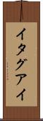イタグアイ Scroll