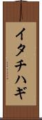 イタチハギ Scroll