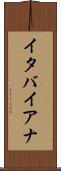 イタバイアナ Scroll