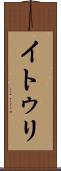 イトゥリ Scroll