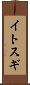 イトスギ Scroll