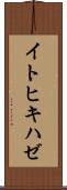 イトヒキハゼ Scroll