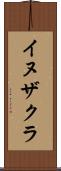 イヌザクラ Scroll