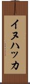 イヌハッカ Scroll