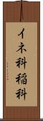 イネ科 Scroll