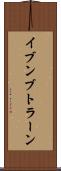 イブンブトラーン Scroll