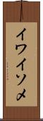 イワイソメ Scroll