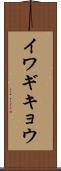 イワギキョウ Scroll