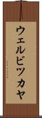 ウェルビツカヤ Scroll