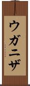 ウガニザ Scroll