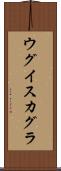 ウグイスカグラ Scroll