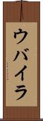 ウバイラ Scroll