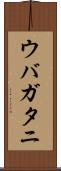 ウバガタニ Scroll