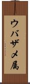 ウバザメ属 Scroll
