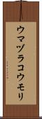 ウマヅラコウモリ Scroll