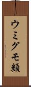 ウミグモ類 Scroll