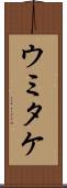 ウミタケ Scroll