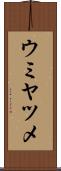ウミヤツメ Scroll