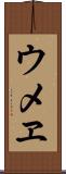 ウメヱ Scroll