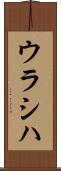 ウラシハ Scroll