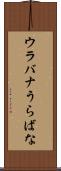 ウラバナ Scroll