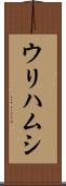 ウリハムシ Scroll