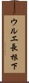 ウルエ長根下 Scroll