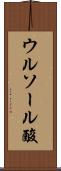 ウルソール酸 Scroll