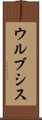 ウルブシス Scroll