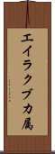 エイラクブカ属 Scroll