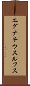 エグナチウスルフス Scroll