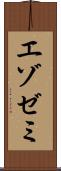 エゾゼミ Scroll