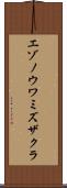 エゾノウワミズザクラ Scroll