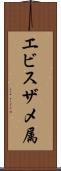 エビスザメ属 Scroll