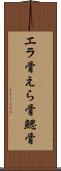 エラ骨 Scroll