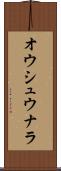 オウシュウナラ Scroll