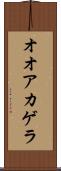 オオアカゲラ Scroll