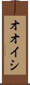 オオイシ Scroll