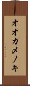 オオカメノキ Scroll
