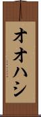 オオハシ Scroll