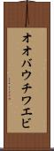 オオバウチワエビ Scroll