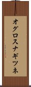 オグロスナギツネ Scroll