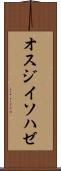 オスジイソハゼ Scroll