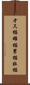 オス猫 Scroll