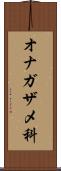 オナガザメ科 Scroll